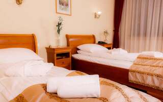 Отель Septimia Hotels & Spa Resort Одорхею-Секуеск Superior Twin Room SPA Included-8
